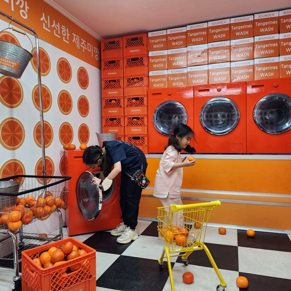 제주홀릭뮤지엄 가족여행 후기 (박물관은 살아있다 패키지) 1 제주홀릭뮤지엄4