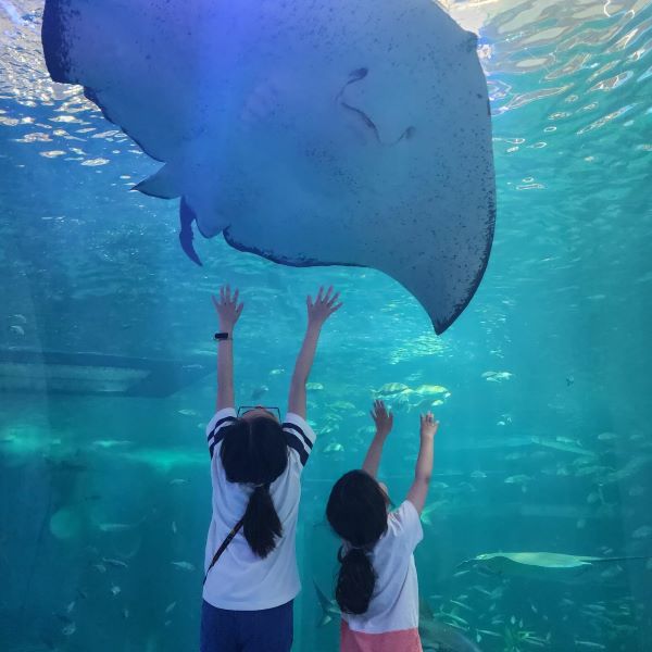 아쿠아플라넷제주
